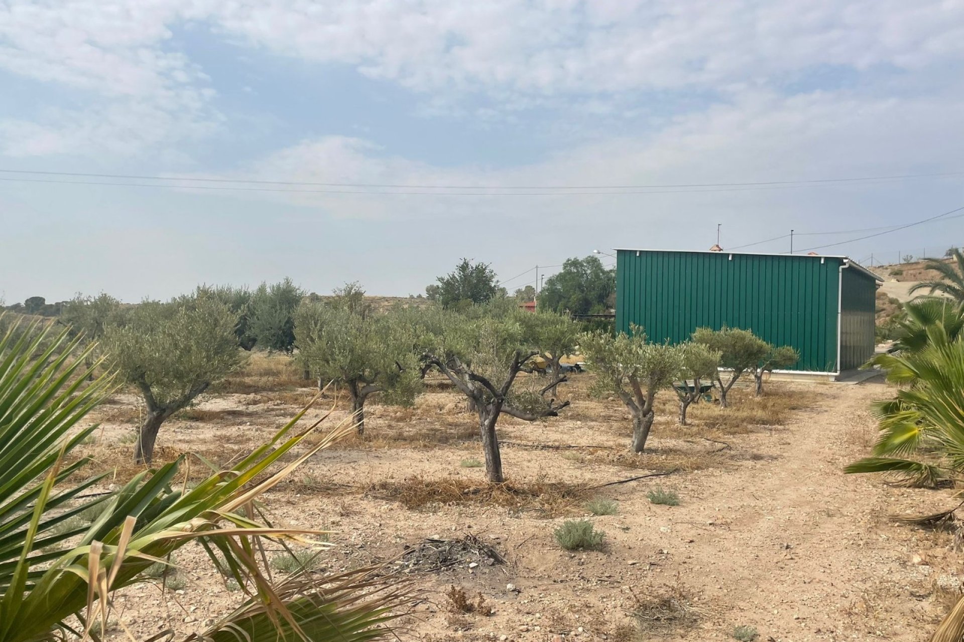Herverkoop - Finca / Plattelands Woning - Abanilla