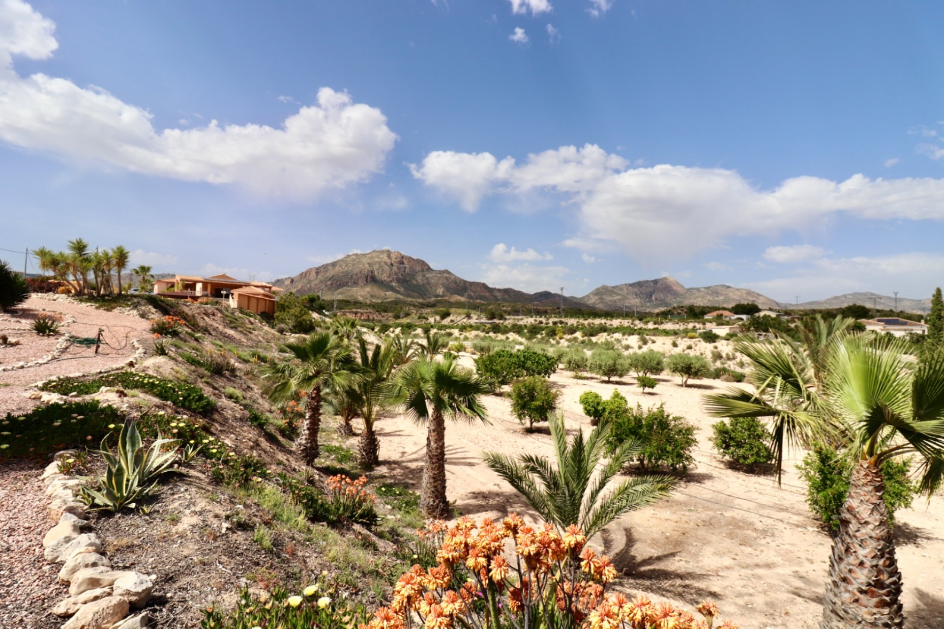 Herverkoop - Finca / Plattelands Woning - Albatera