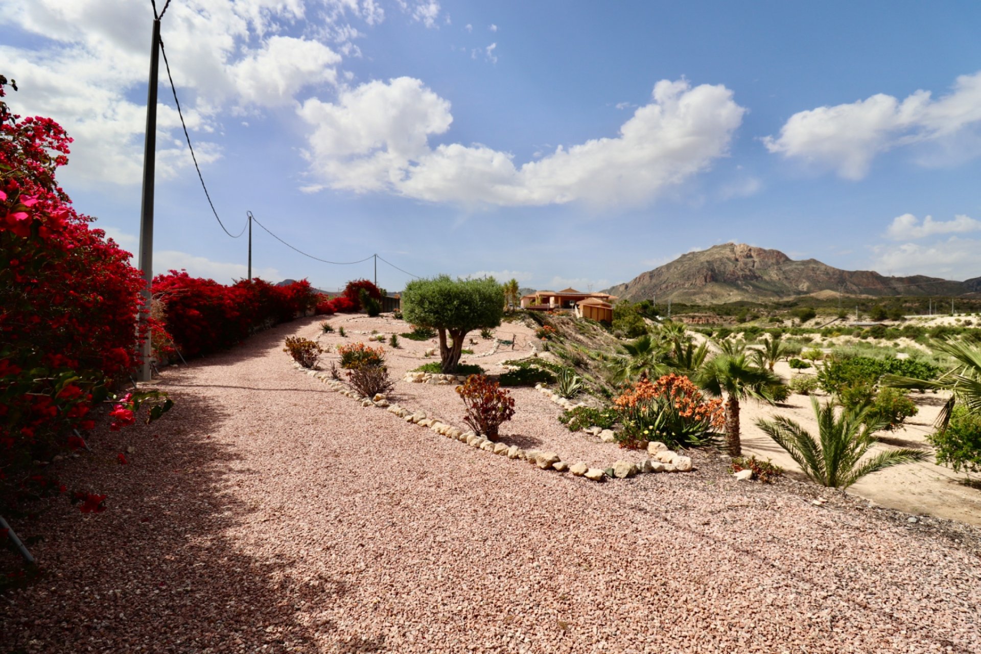 Herverkoop - Finca / Plattelands Woning - Albatera