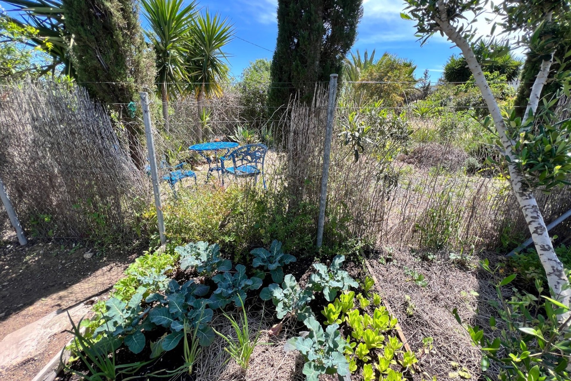 Herverkoop - Finca / Plattelands Woning - Cartagena