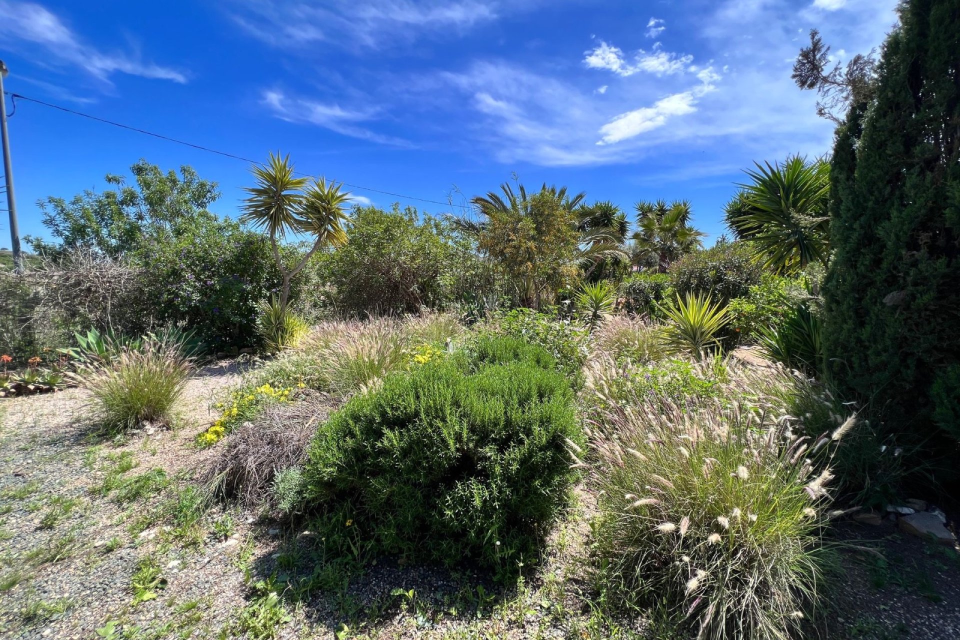 Herverkoop - Finca / Plattelands Woning - Cartagena