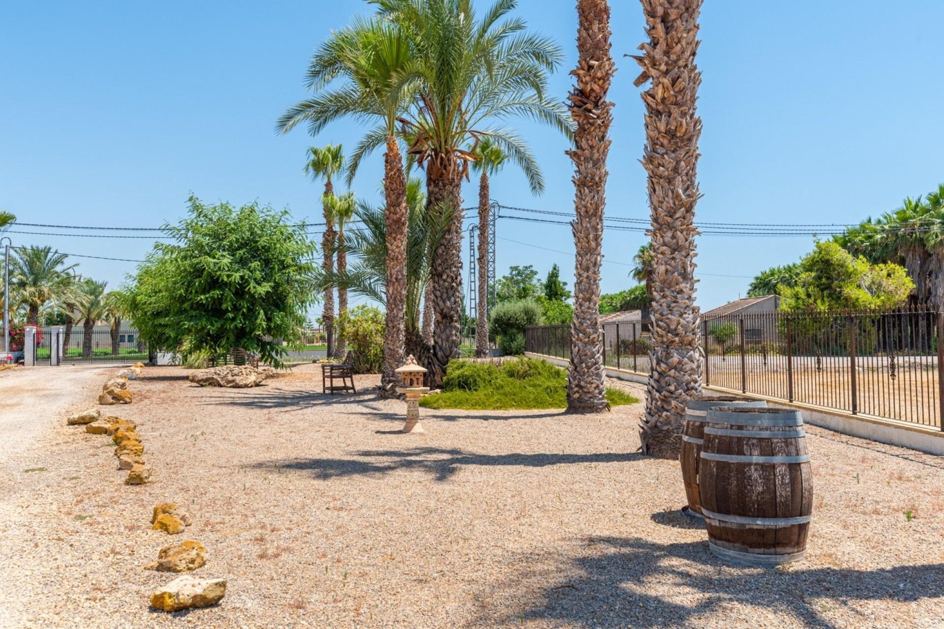 Herverkoop - Finca / Plattelands Woning - Catral - Comunidad valenciana