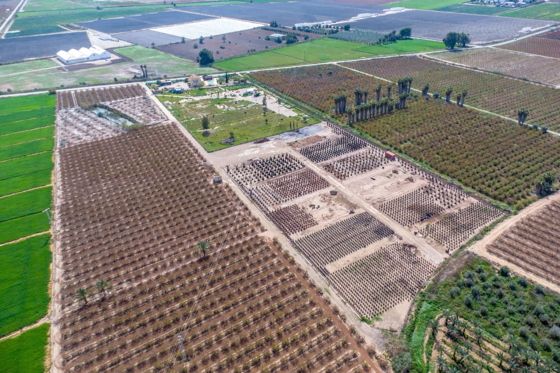 Herverkoop - Finca / Plattelands Woning - Crevillente