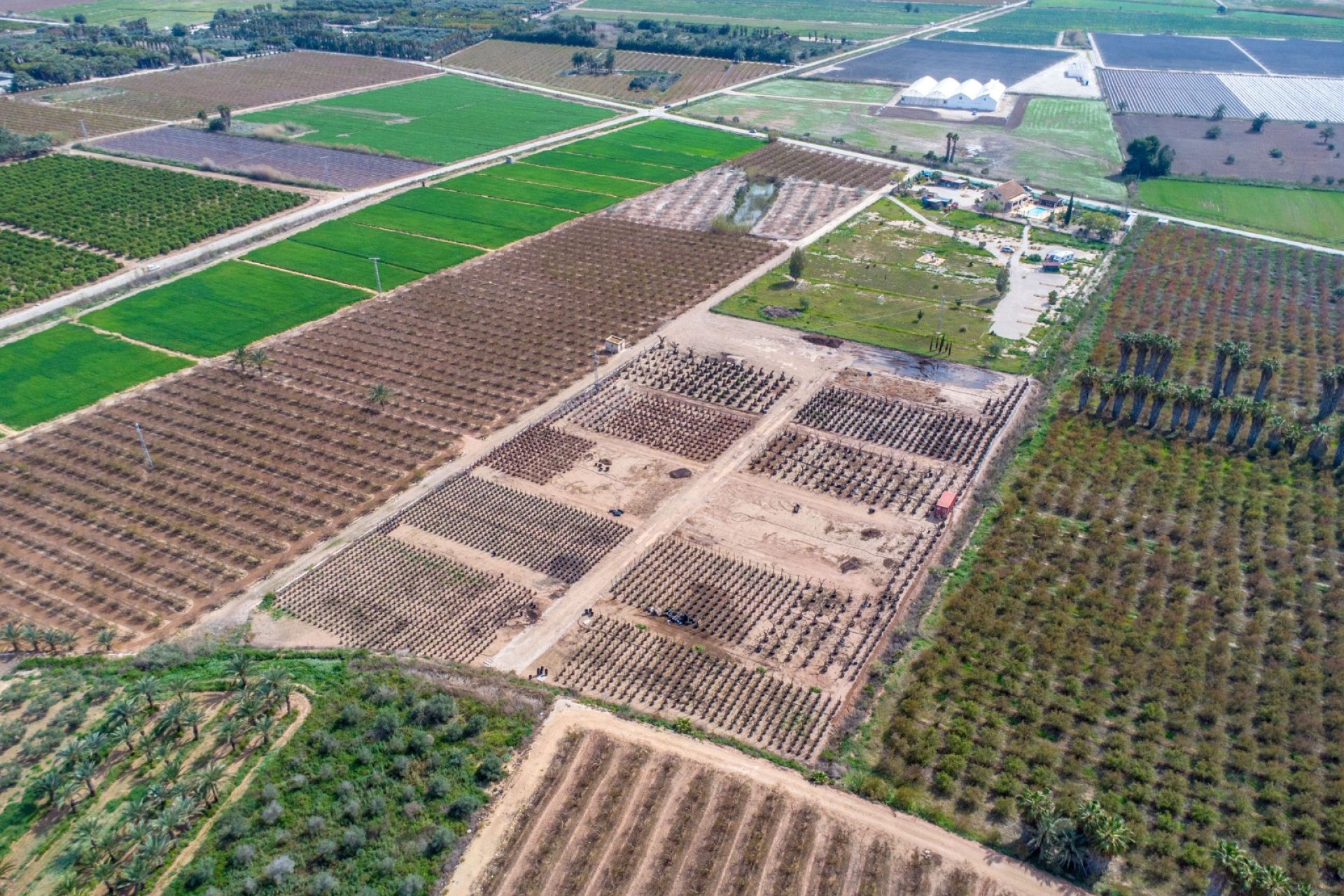 Herverkoop - Finca / Plattelands Woning - Crevillente