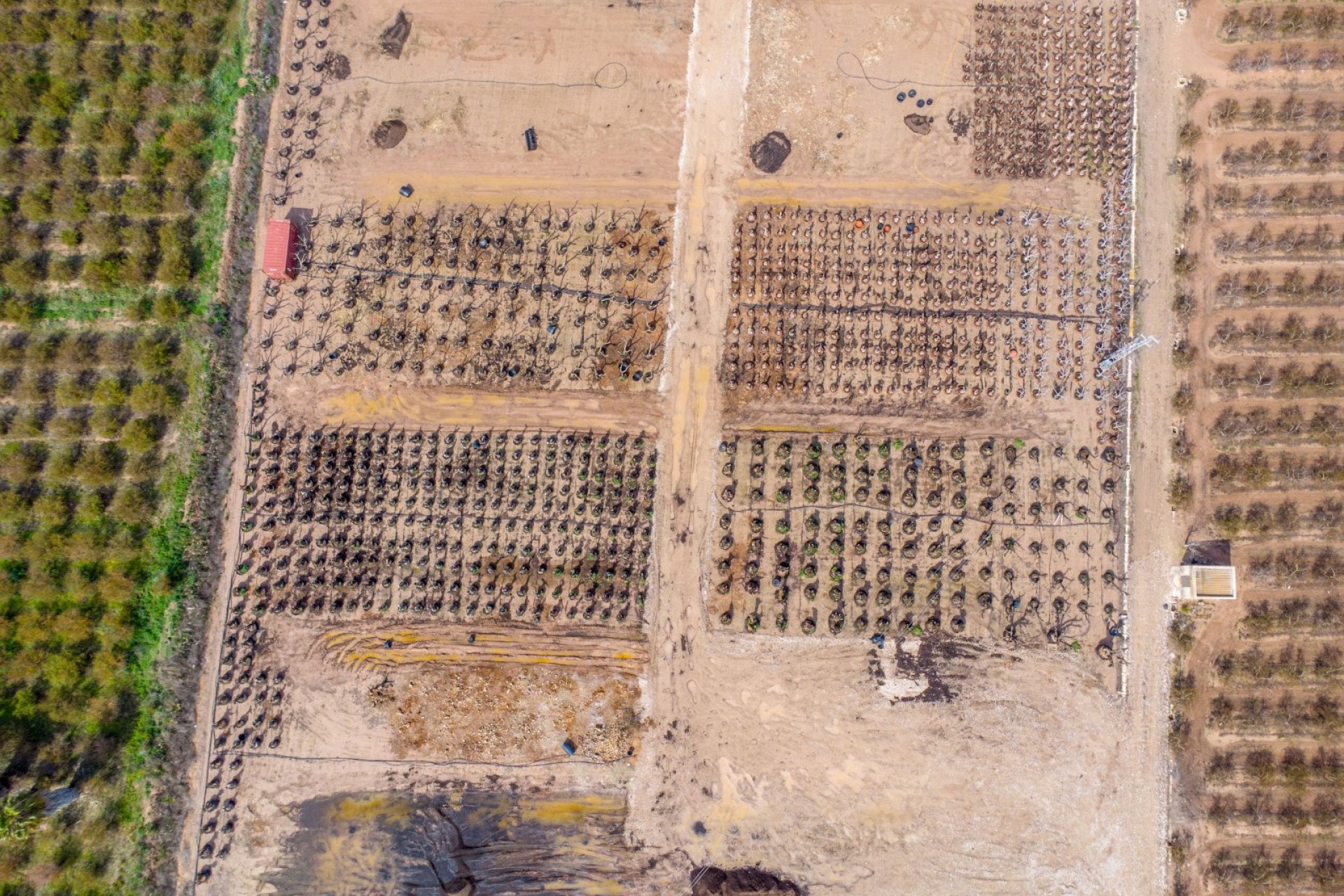 Herverkoop - Finca / Plattelands Woning - Crevillente