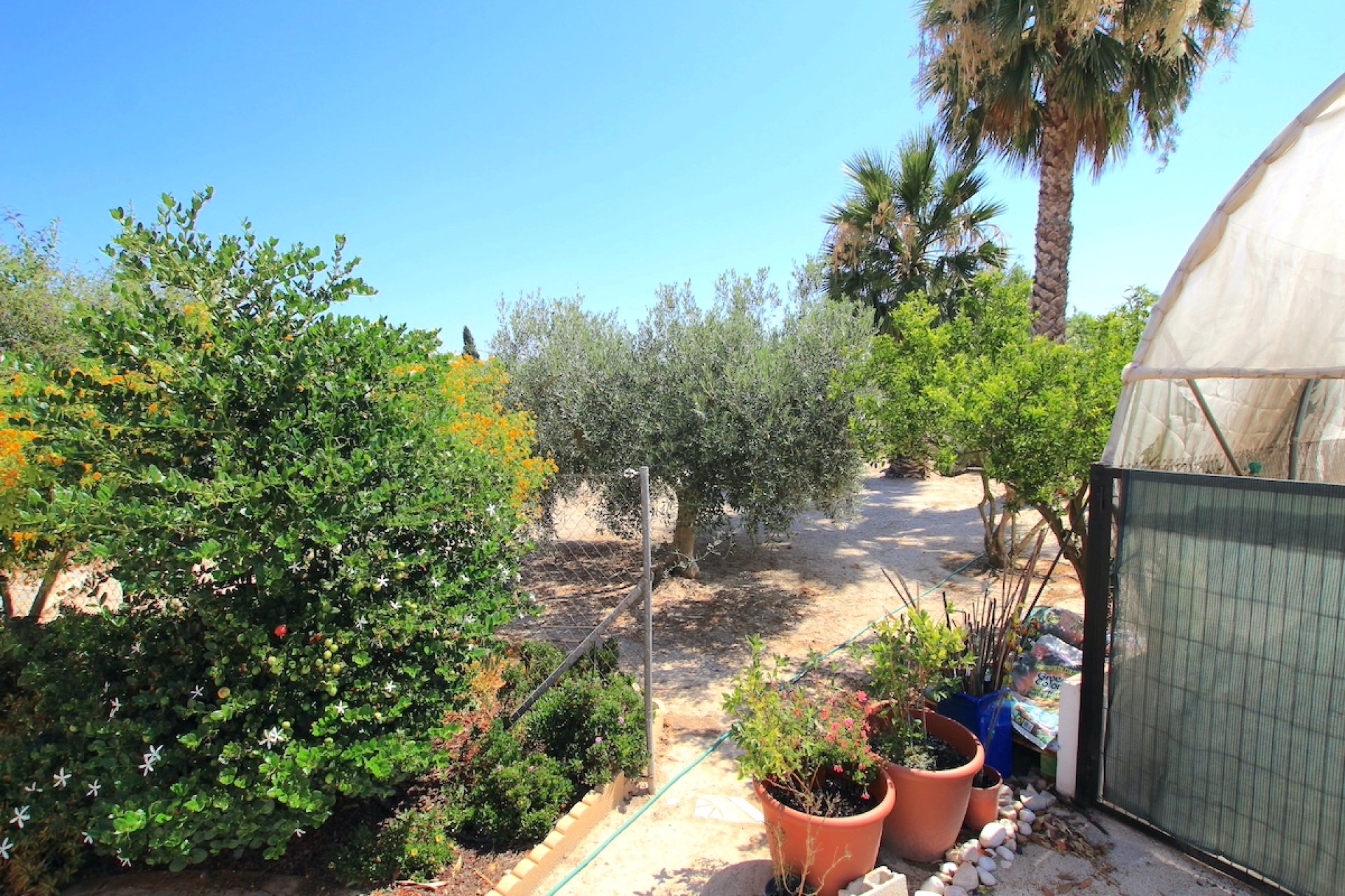 Herverkoop - Finca / Plattelands Woning - Daya Vieja