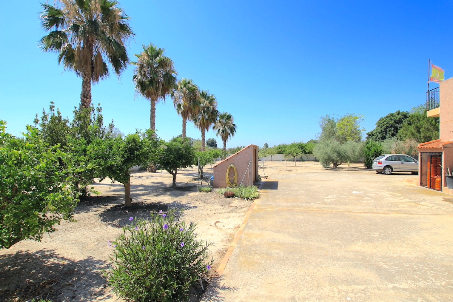 Herverkoop - Finca / Plattelands Woning - Daya Vieja