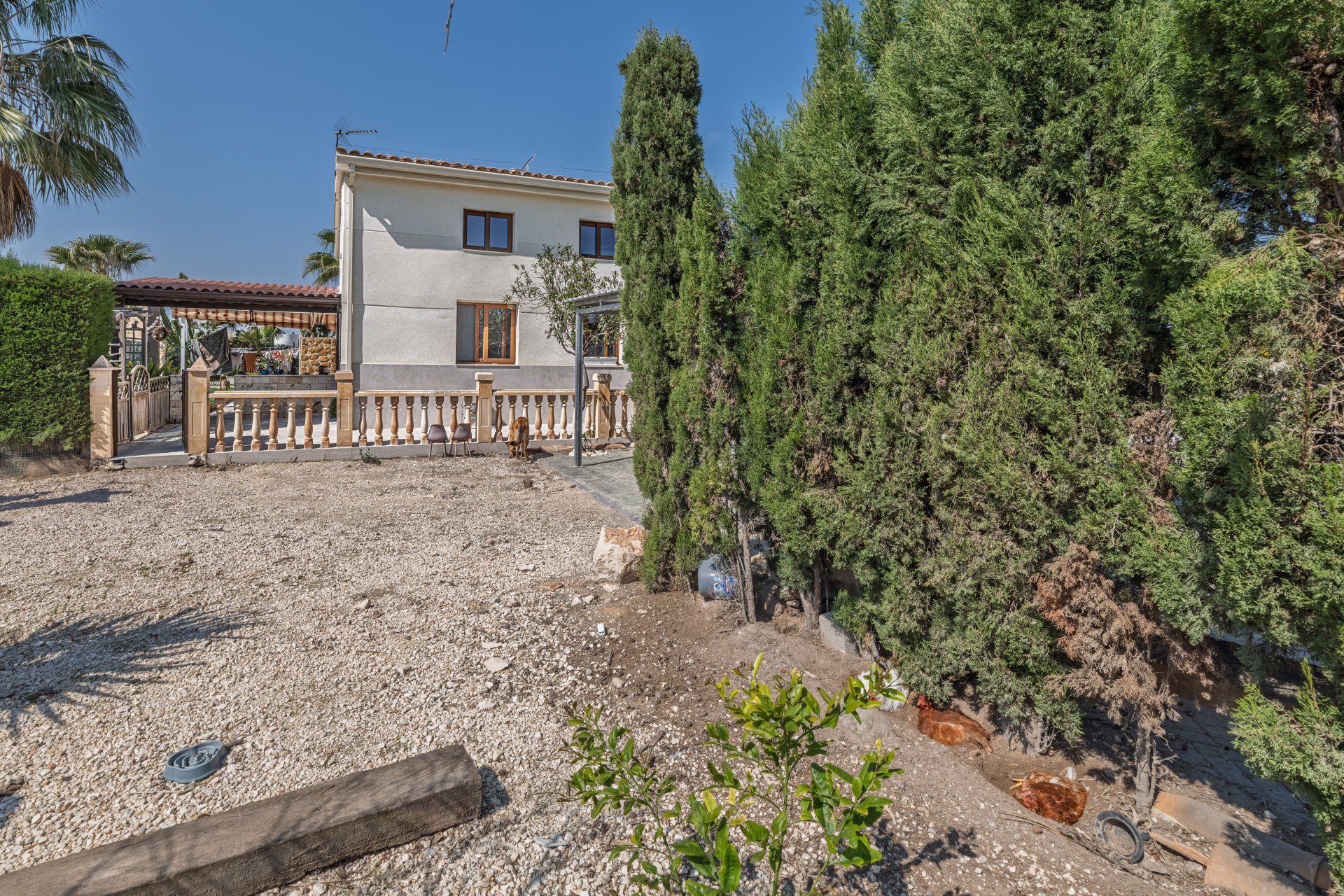 Herverkoop - Finca / Plattelands Woning - Elche - Daimés