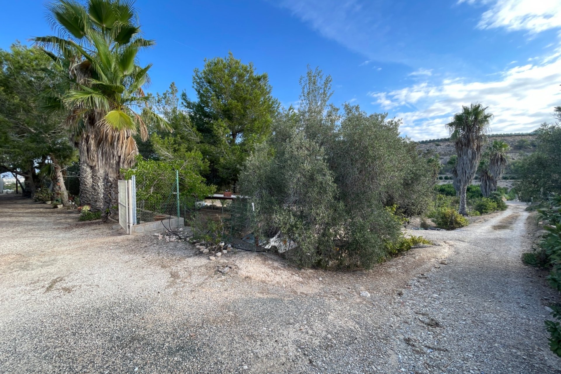 Herverkoop - Finca / Plattelands Woning - Jacarilla