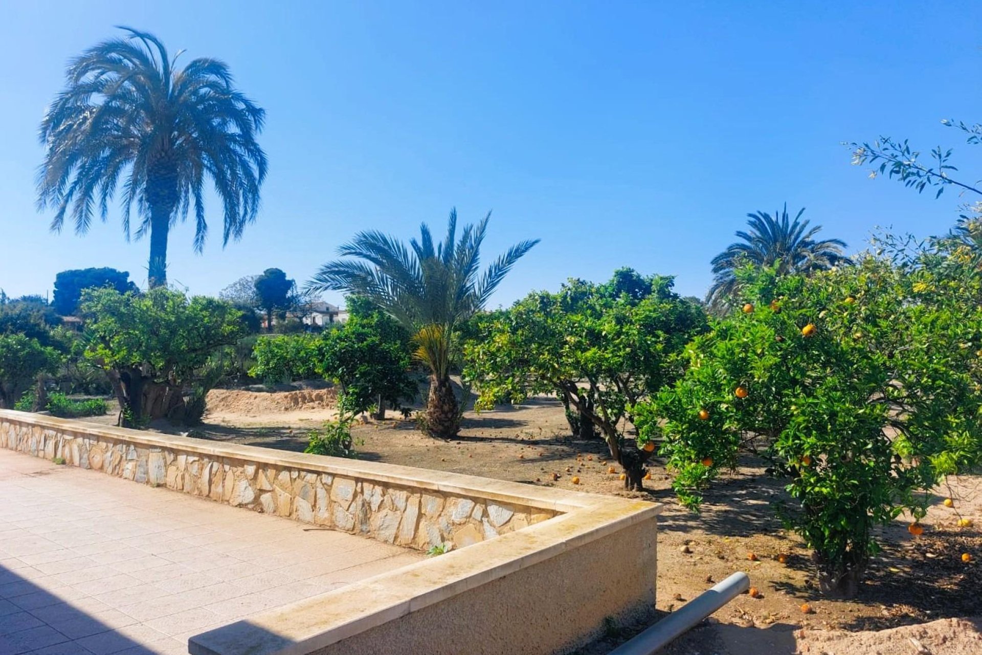 Herverkoop - Finca / Plattelands Woning - La Marina