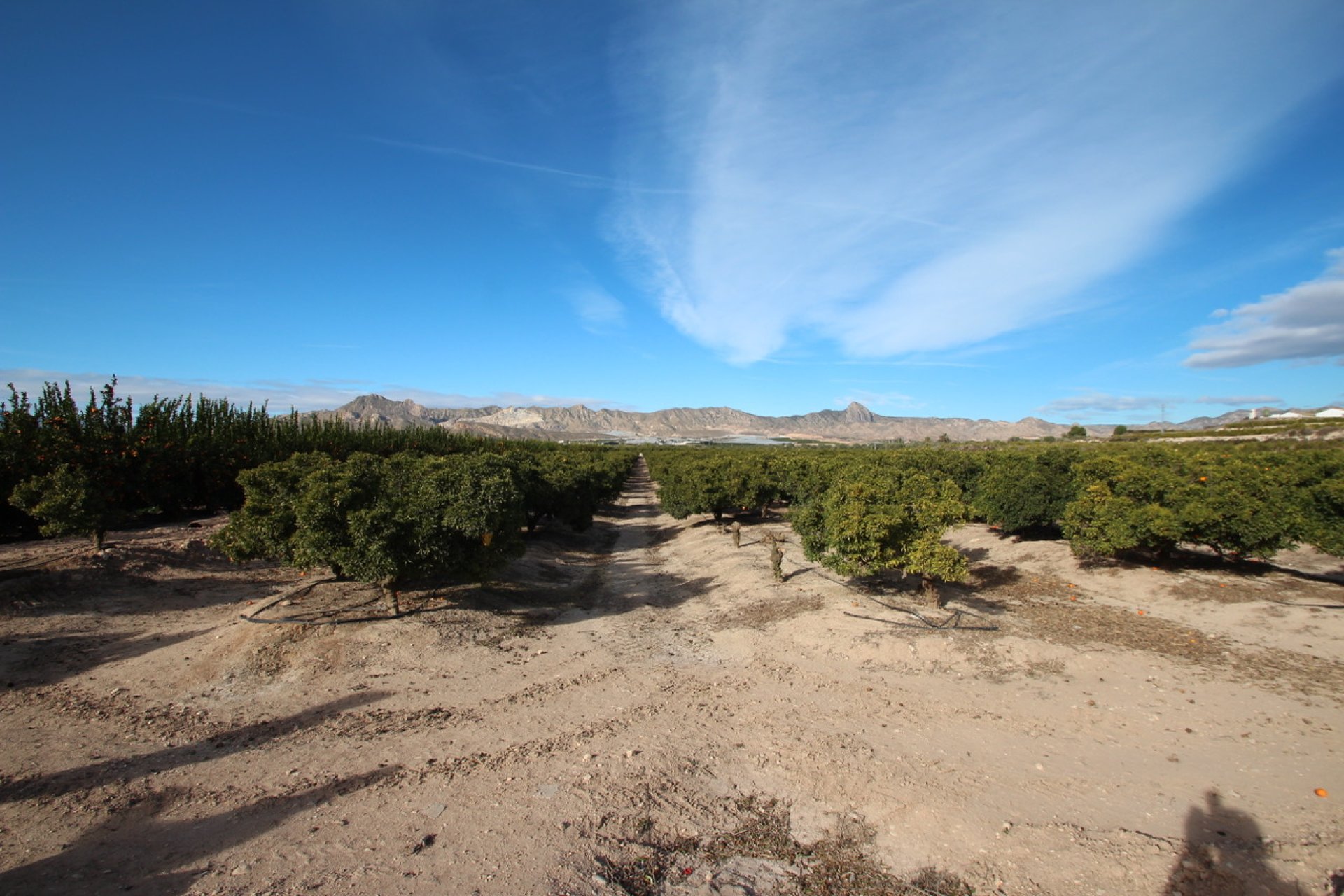 Herverkoop - Finca / Plattelands Woning - Murcia