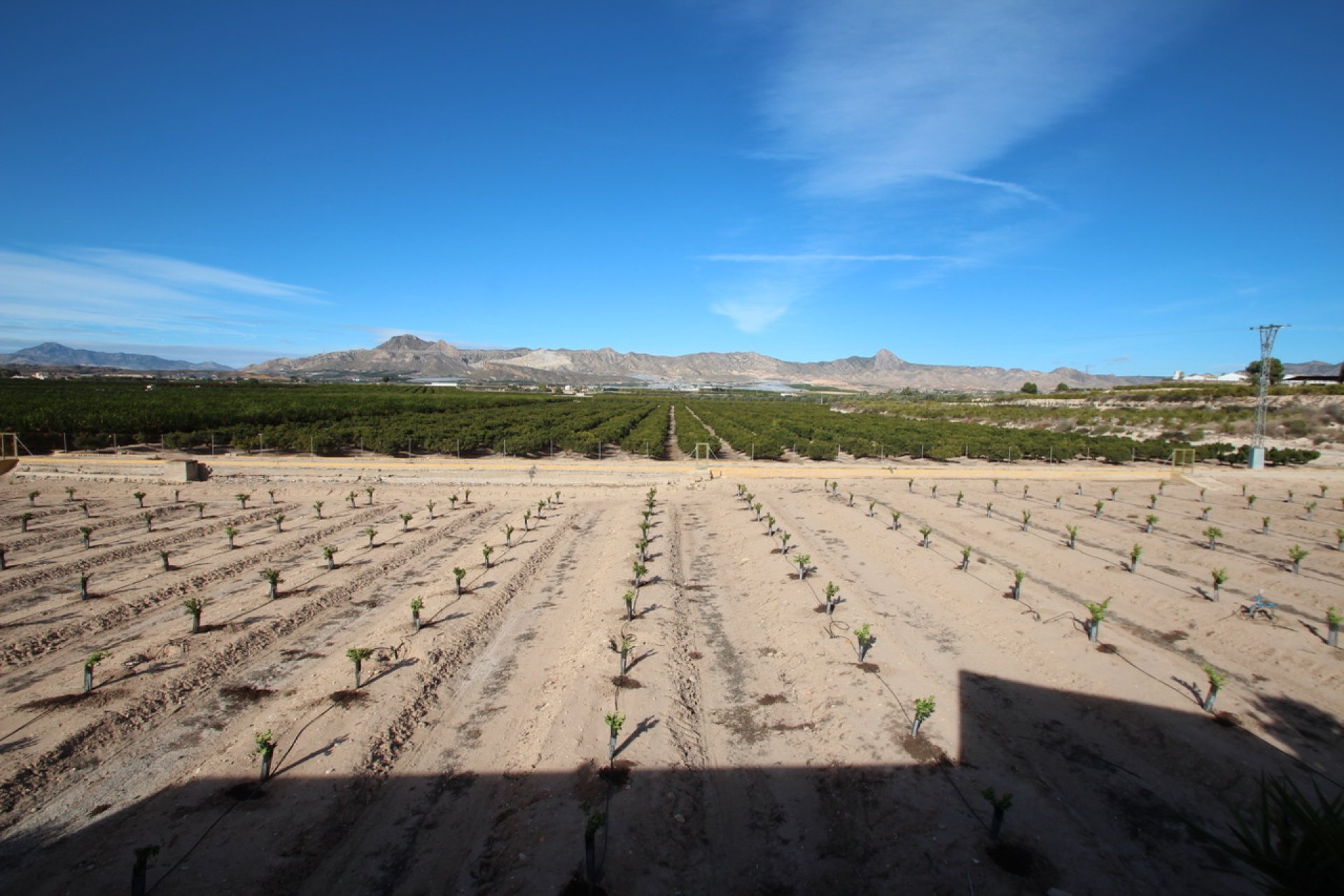 Herverkoop - Finca / Plattelands Woning - Murcia
