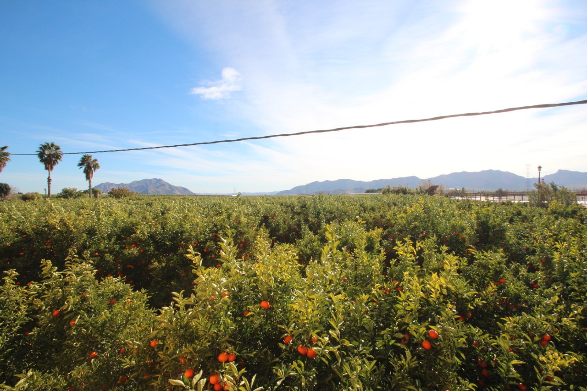 Herverkoop - Finca / Plattelands Woning - Murcia