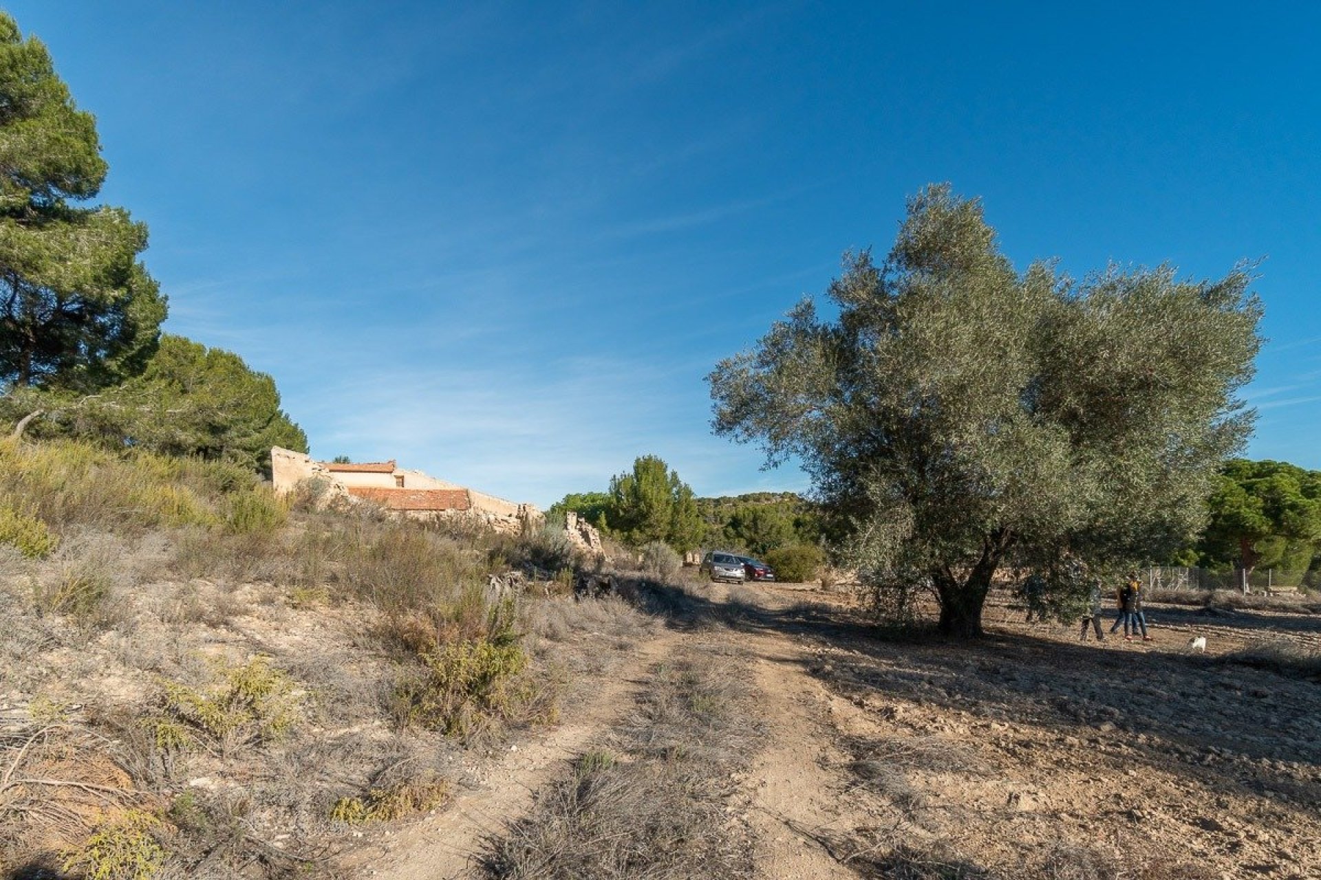 Herverkoop - Finca / Plattelands Woning - Pilar de la Horadada
