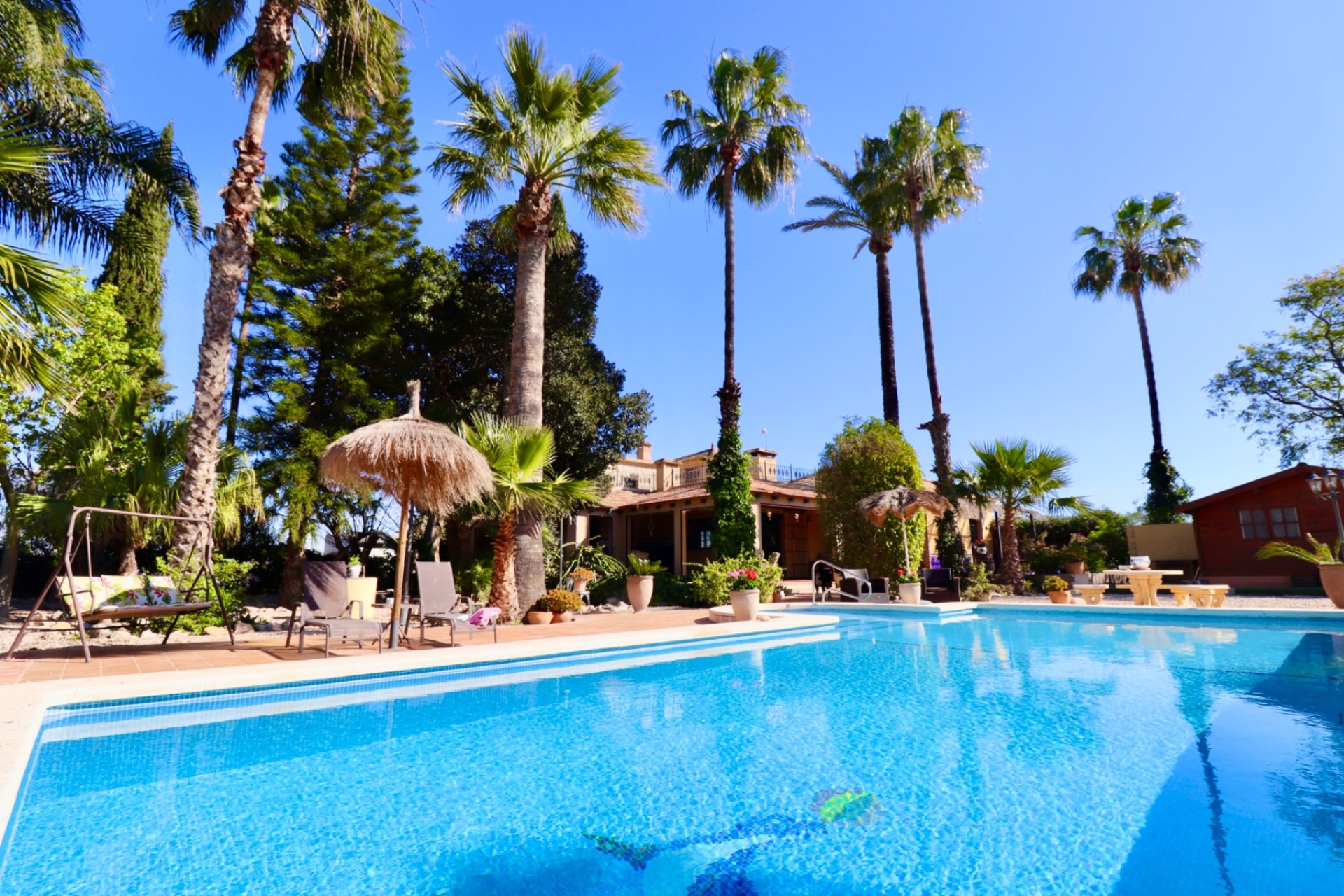 Herverkoop - Finca / Plattelands Woning - Rojales - Heredades