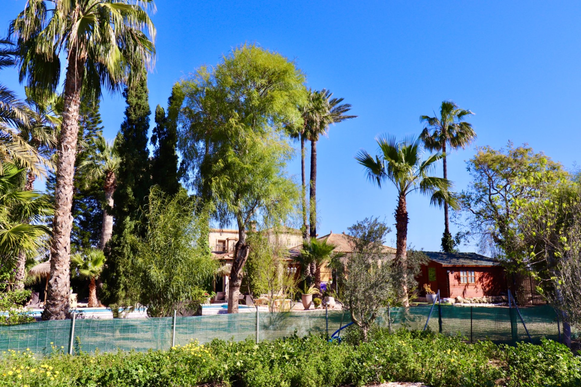 Herverkoop - Finca / Plattelands Woning - Rojales - Heredades