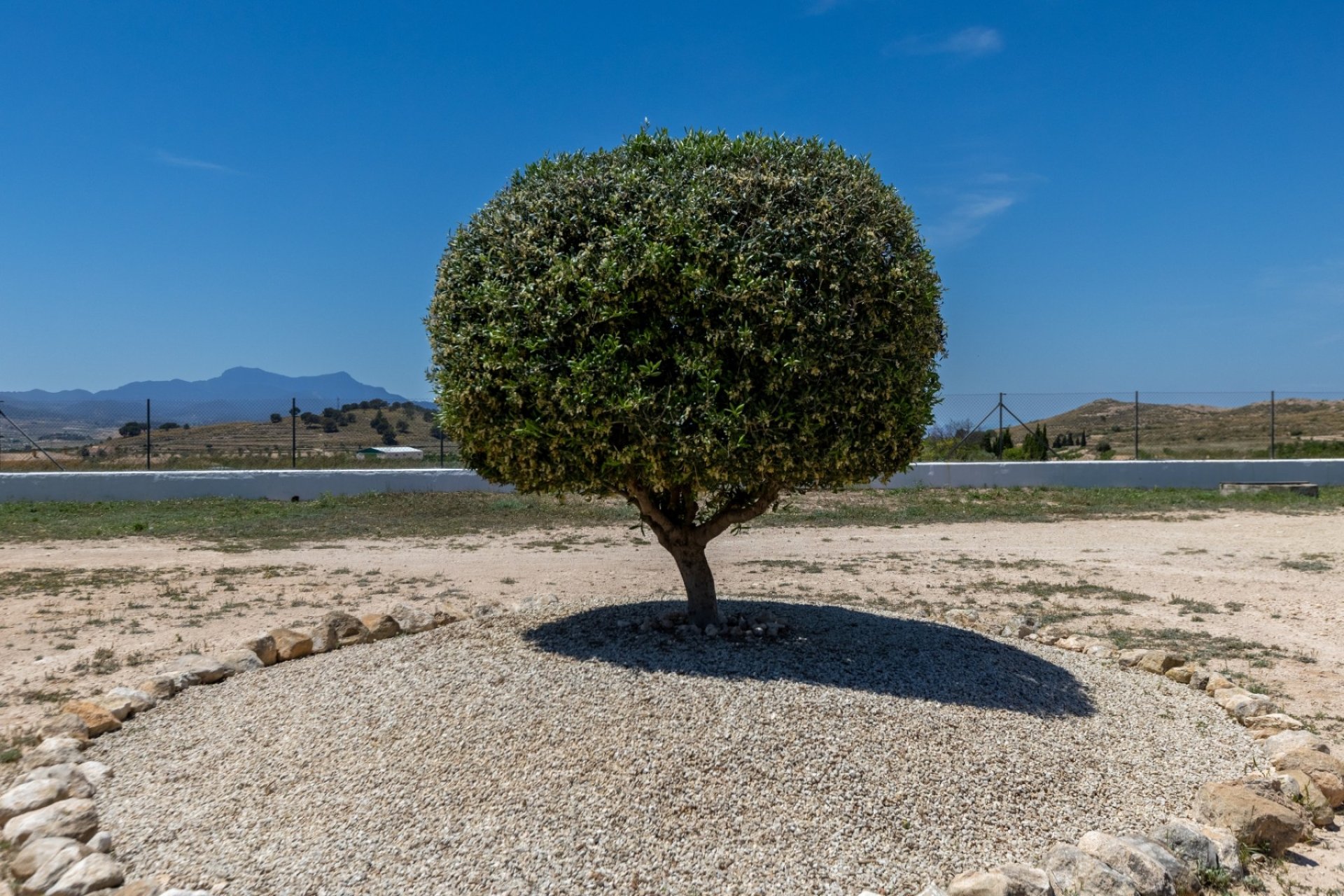 Herverkoop - Finca / Plattelands Woning - Torre Del Rico - Costa Calida