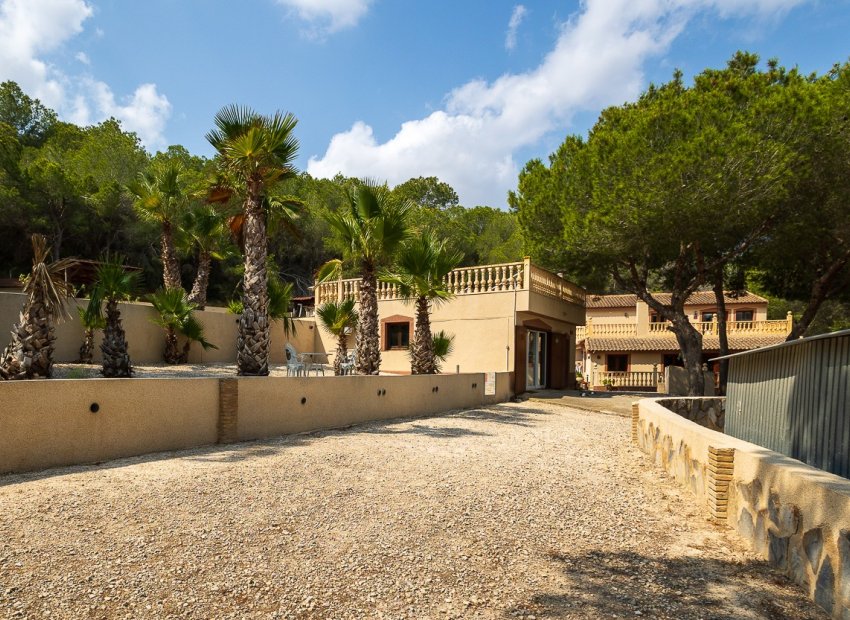 Herverkoop - Finca / Plattelands Woning - Torremendo