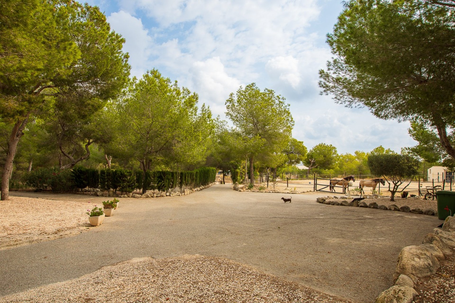 Herverkoop - Finca / Plattelands Woning - Torremendo