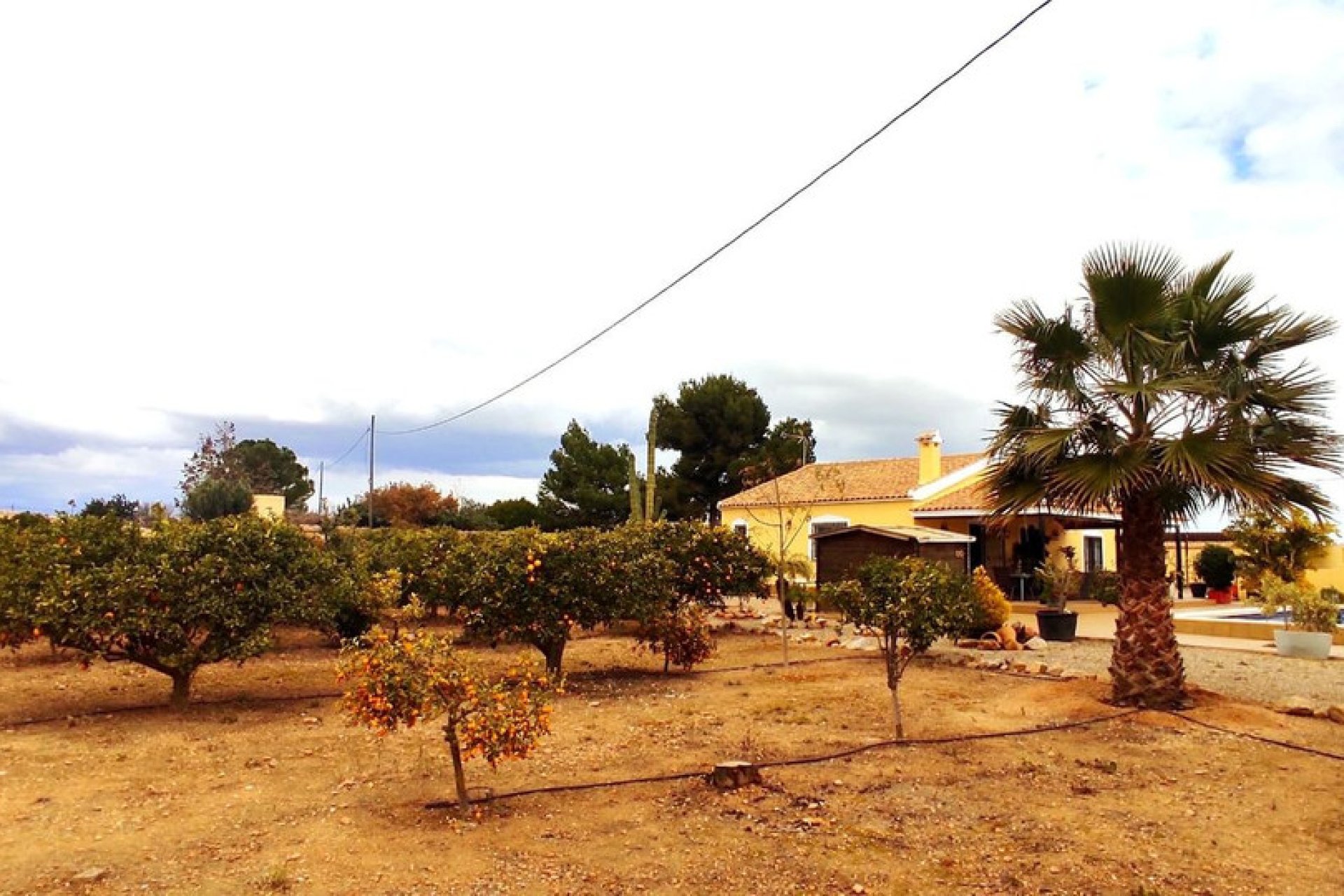 Herverkoop - House - Finca - Cortijo - San Javier - Costa Calida