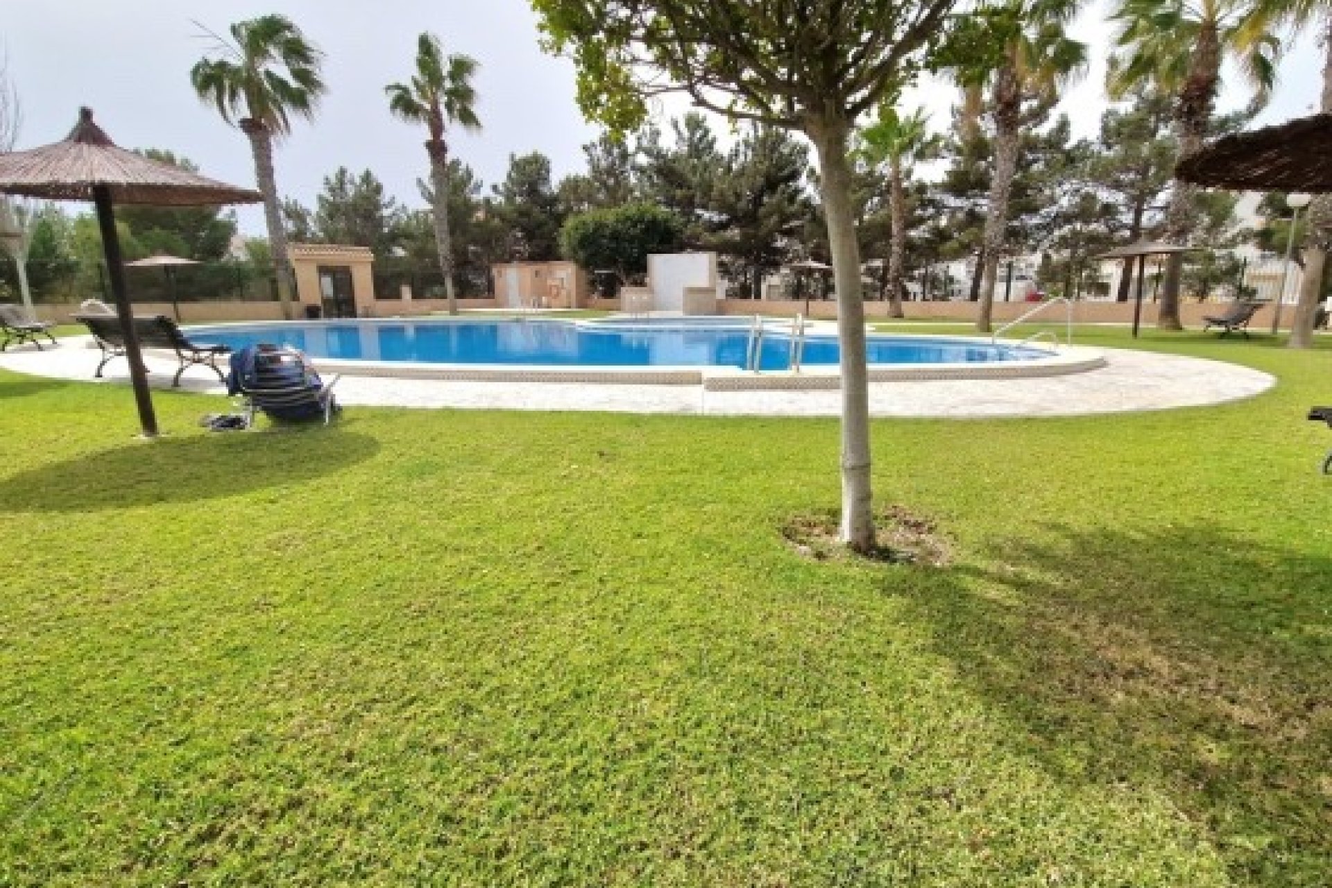 Herverkoop - House - Torrevieja* - Los Altos*