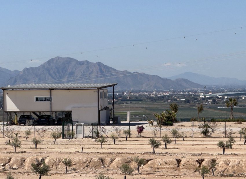 Herverkoop - Land and Plots - San Fulgencio - La Marina