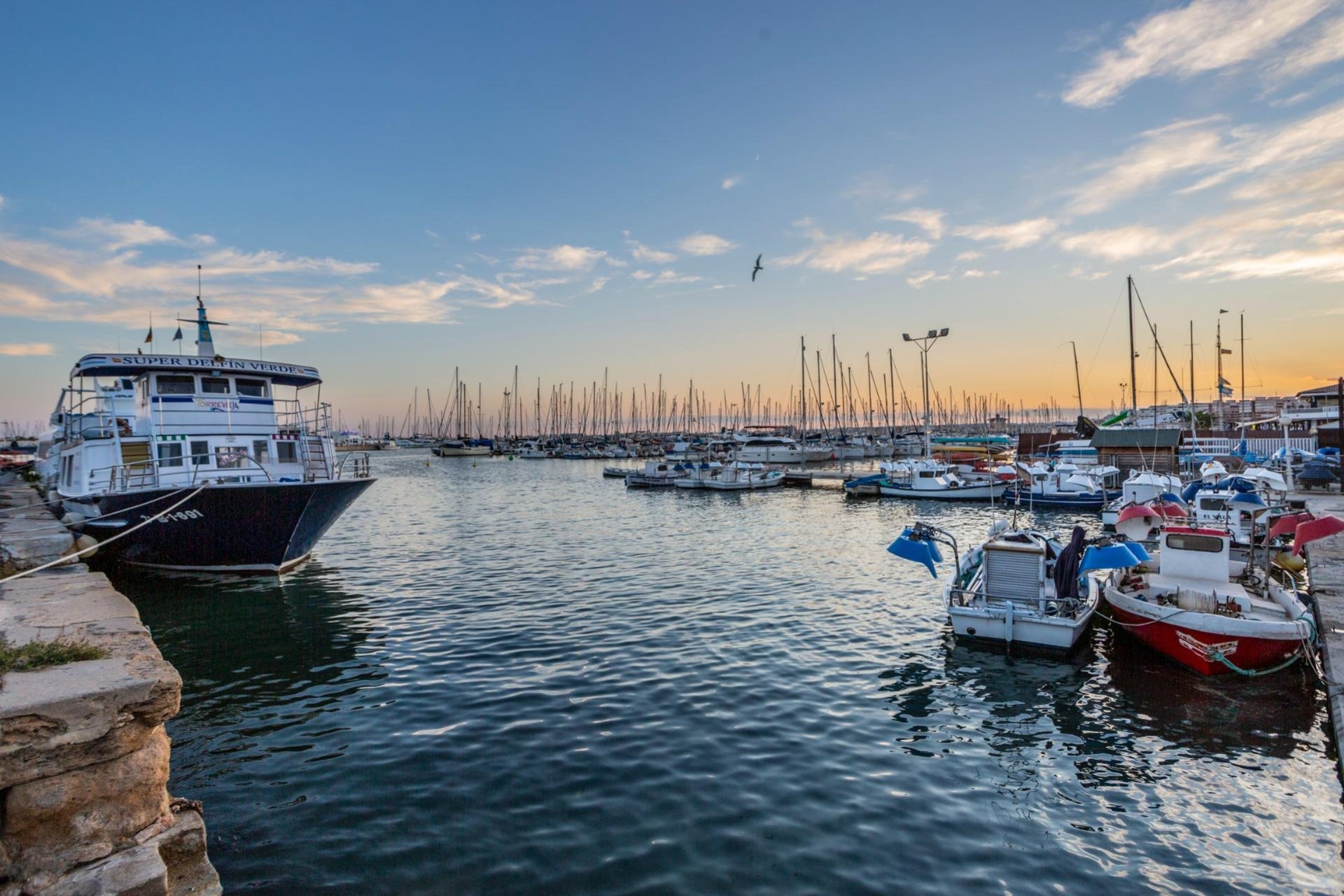 Herverkoop - Parking - Torrevieja - Los Frutales