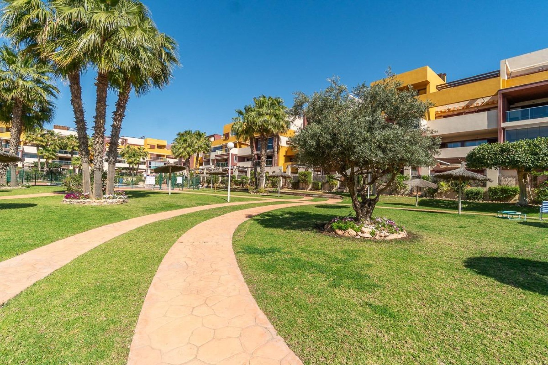 Herverkoop - Penthouse - Orihuela Costa - Playa Flamenca