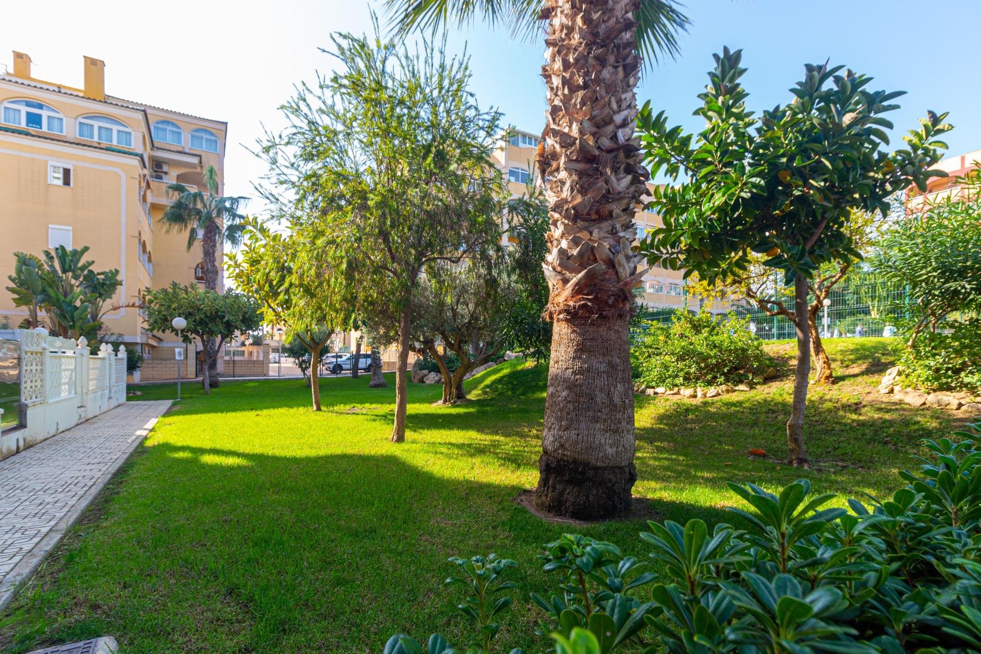 Herverkoop - Penthouse - Torrevieja - Torreblanca