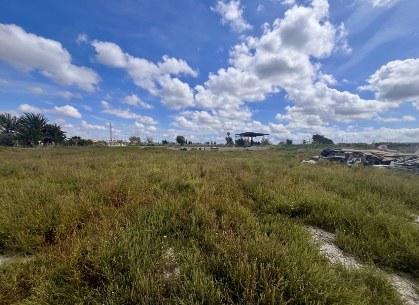 Herverkoop - Perceel - Catral