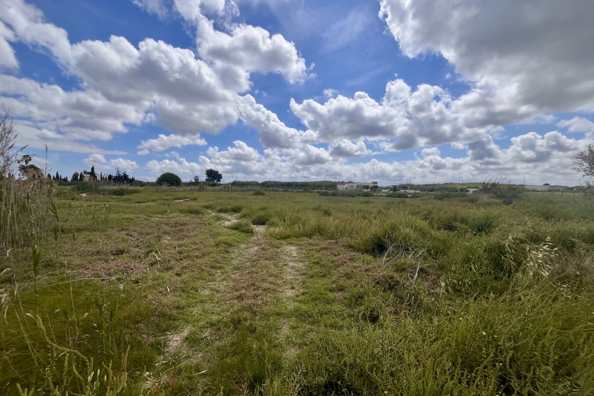 Herverkoop - Perceel - Catral