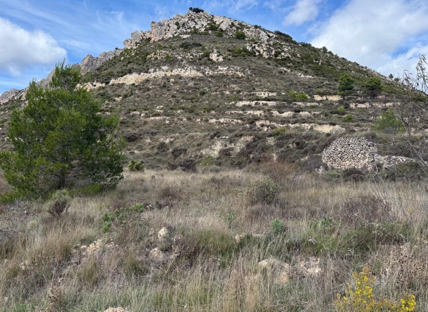 Herverkoop - Perceel - Confrides - Barranc de Xarquera