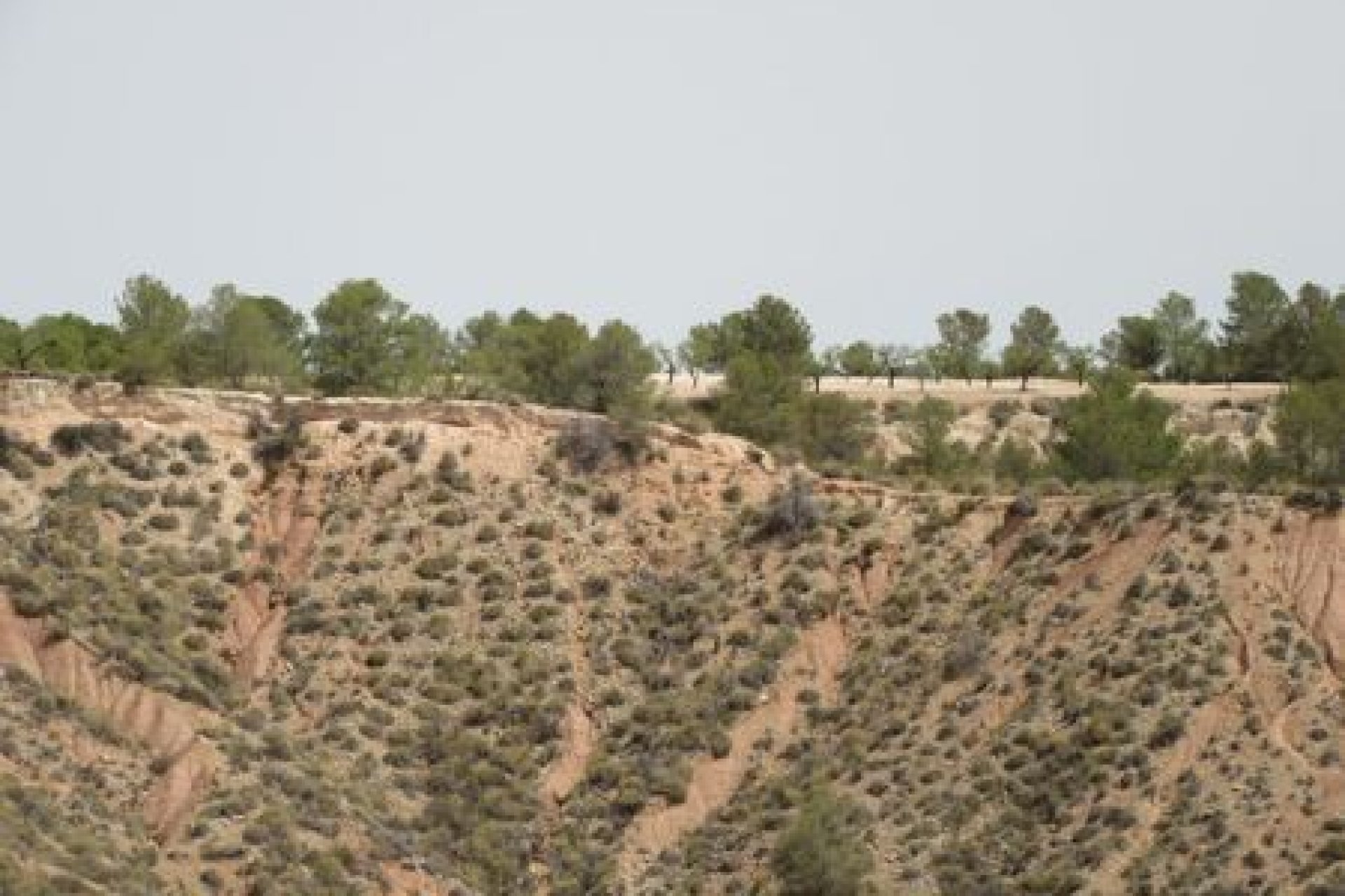 Herverkoop - Perceel - Murcia