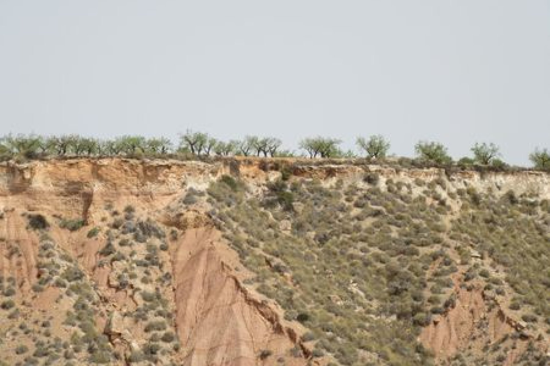 Herverkoop - Perceel - Murcia