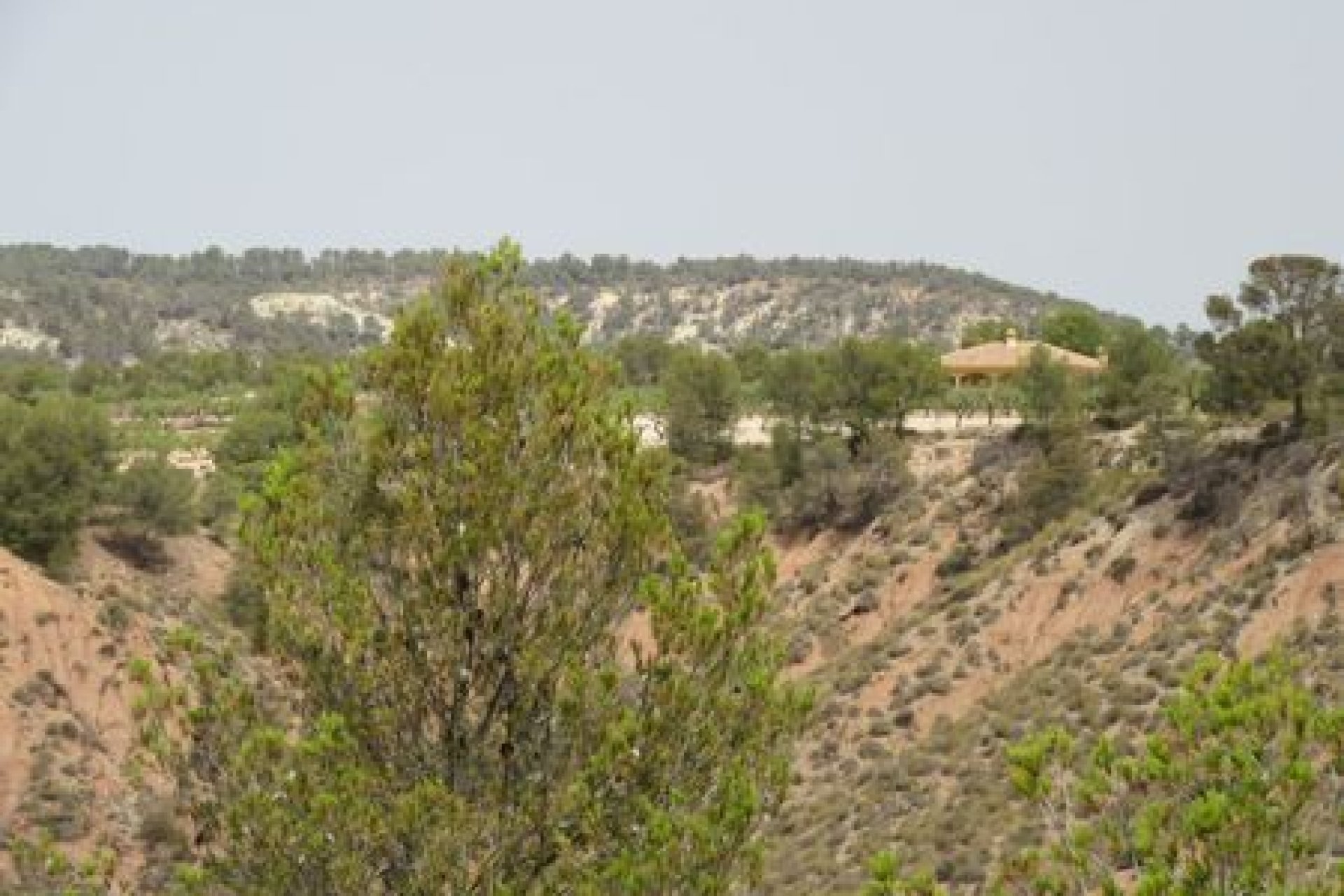 Herverkoop - Perceel - Murcia