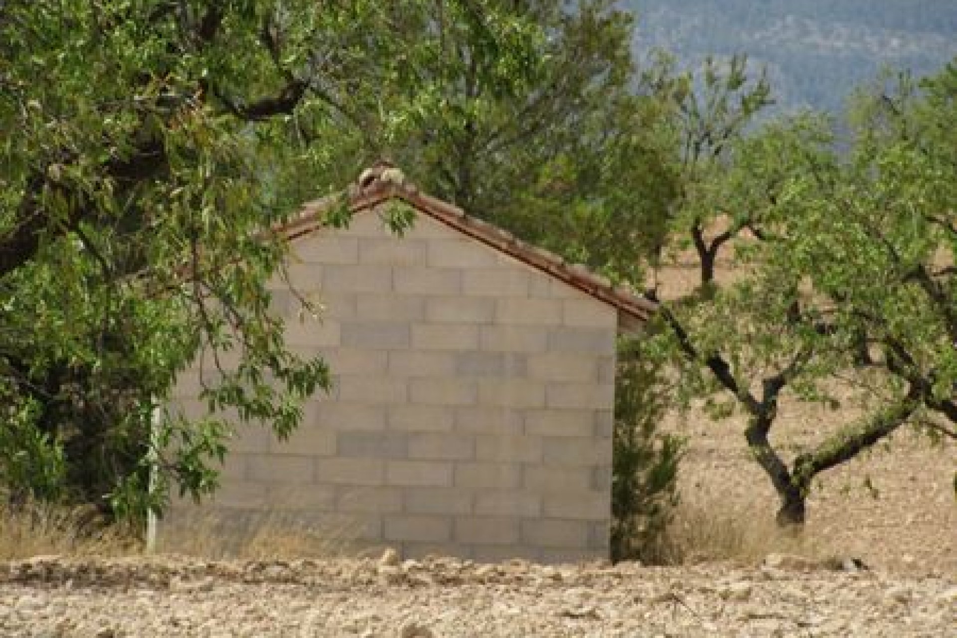 Herverkoop - Perceel - Murcia