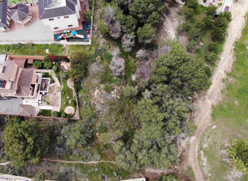 Herverkoop - Perceel - Orihuela