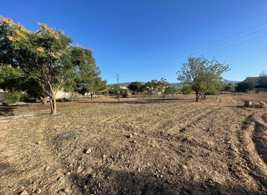 Herverkoop - Perceel - Pinoso