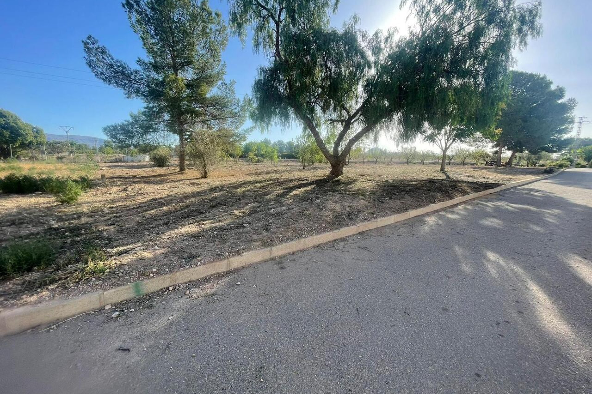 Herverkoop - Perceel - Pinoso