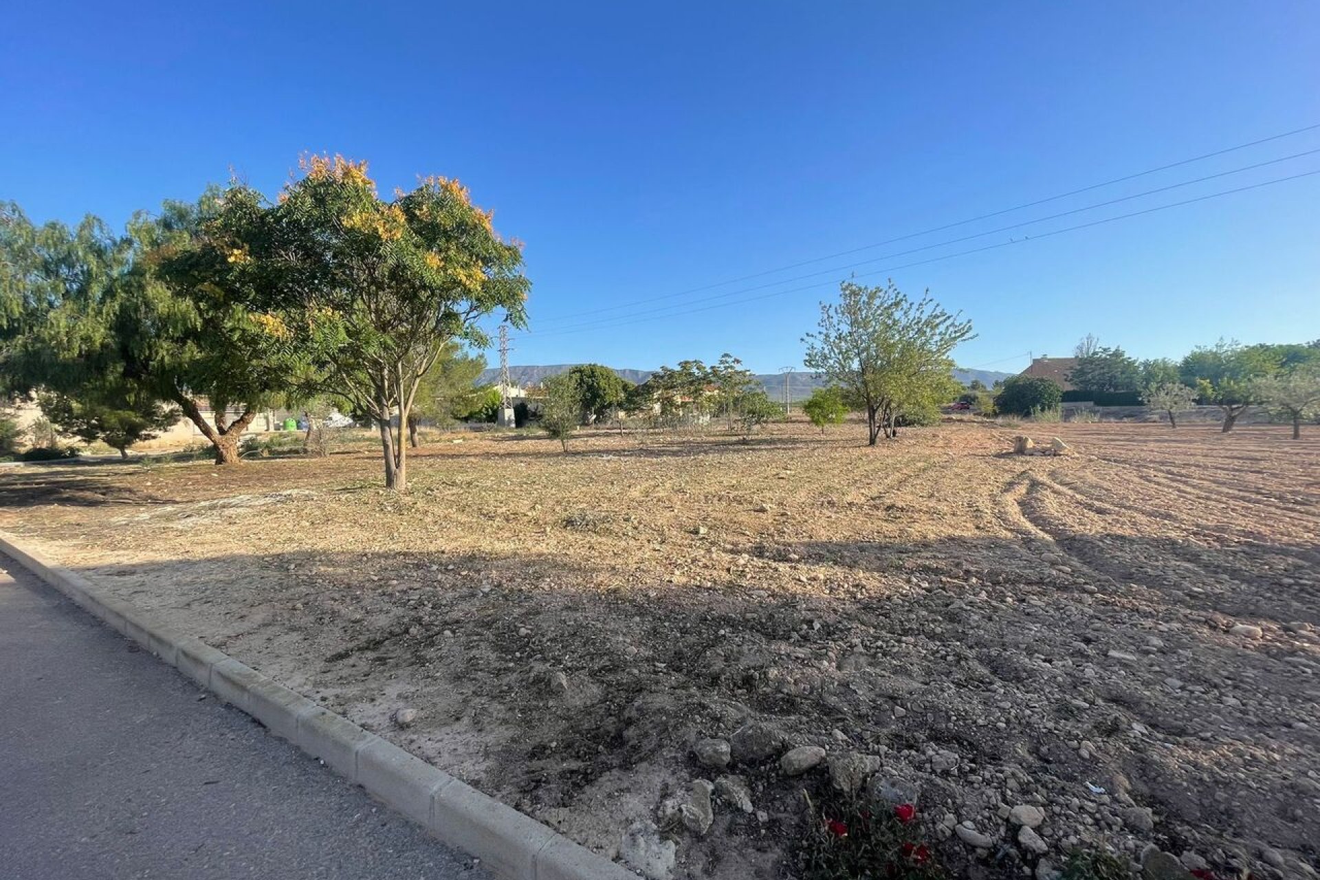 Herverkoop - Perceel - Pinoso