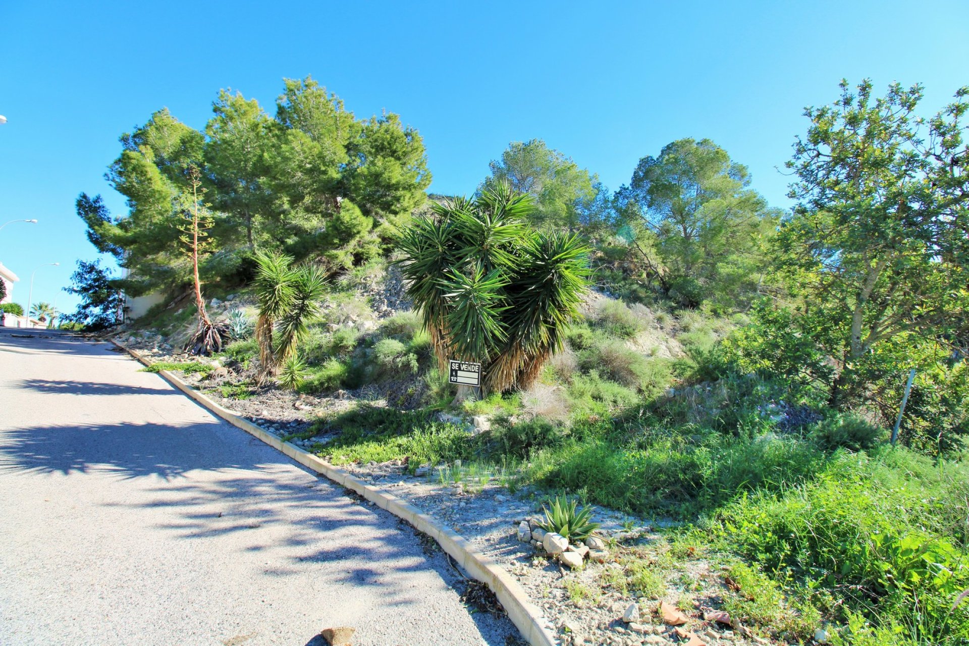 Herverkoop - Perceel - San Miguel de Salinas