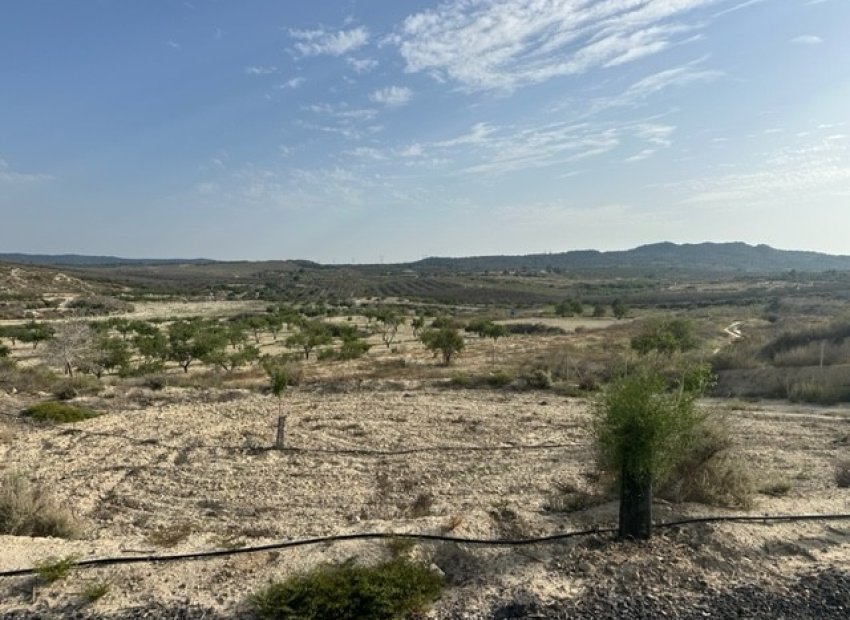 Herverkoop - Perceel - Torremendo