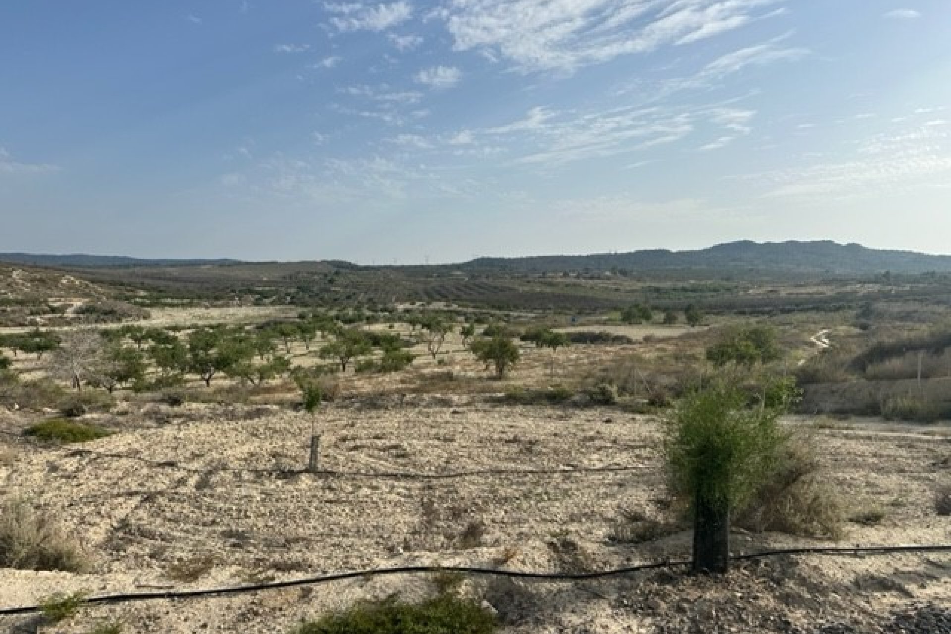 Herverkoop - Perceel - Torremendo