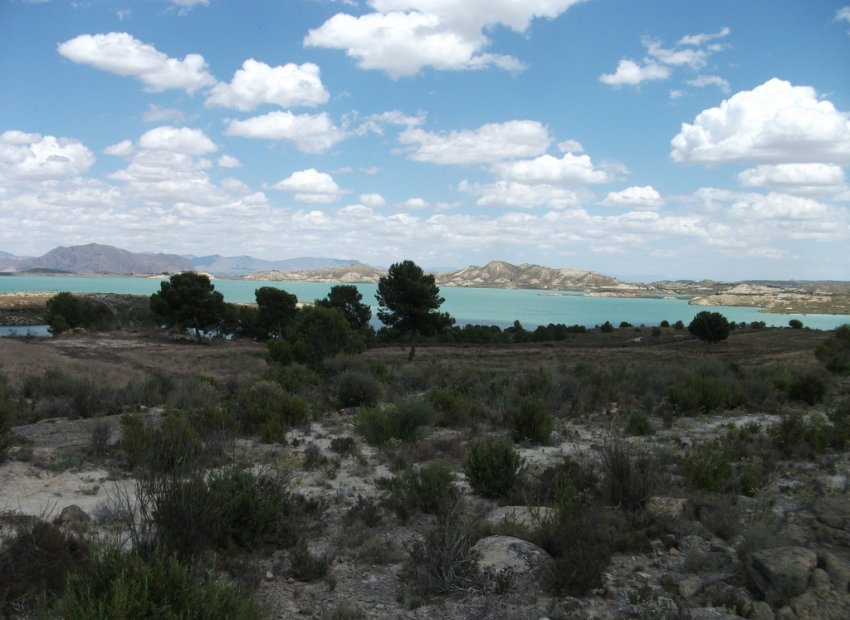 Herverkoop - Perceel - Torremendo