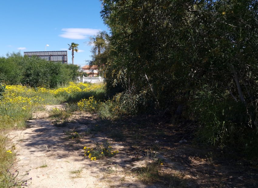 Herverkoop - Perceel - Torrevieja