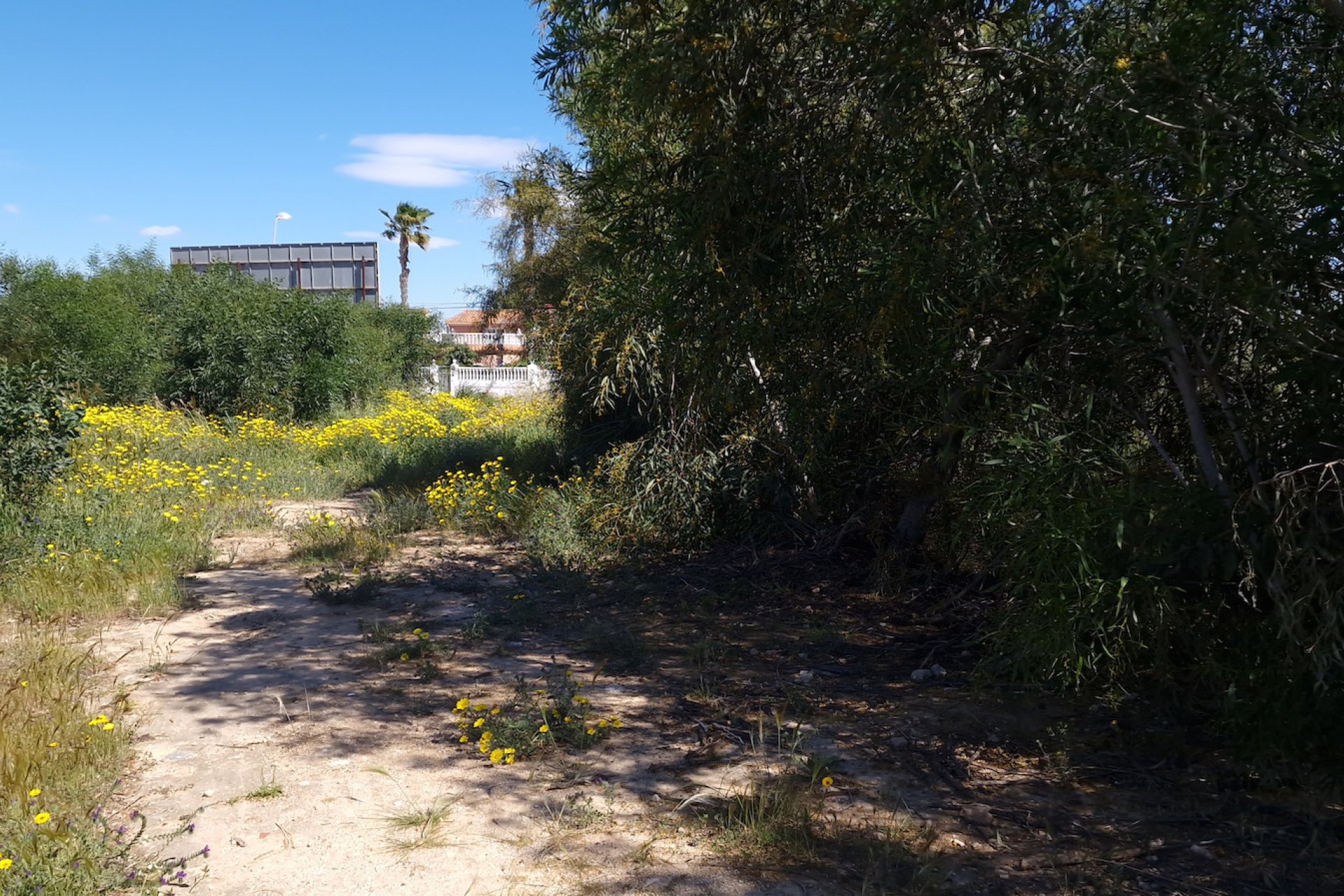 Herverkoop - Perceel - Torrevieja