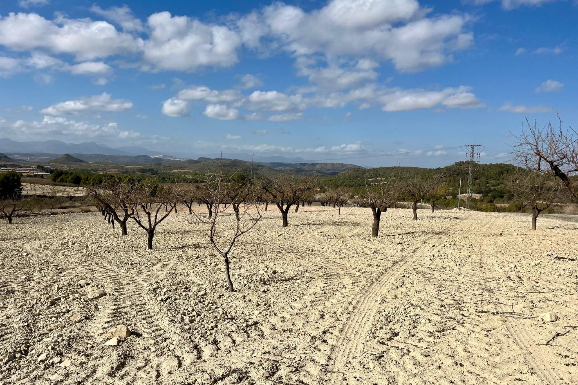 Herverkoop - Plot - Bullas - Costa Calida