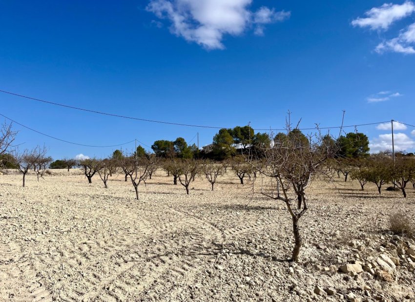 Herverkoop - Plot - Bullas - Costa Calida