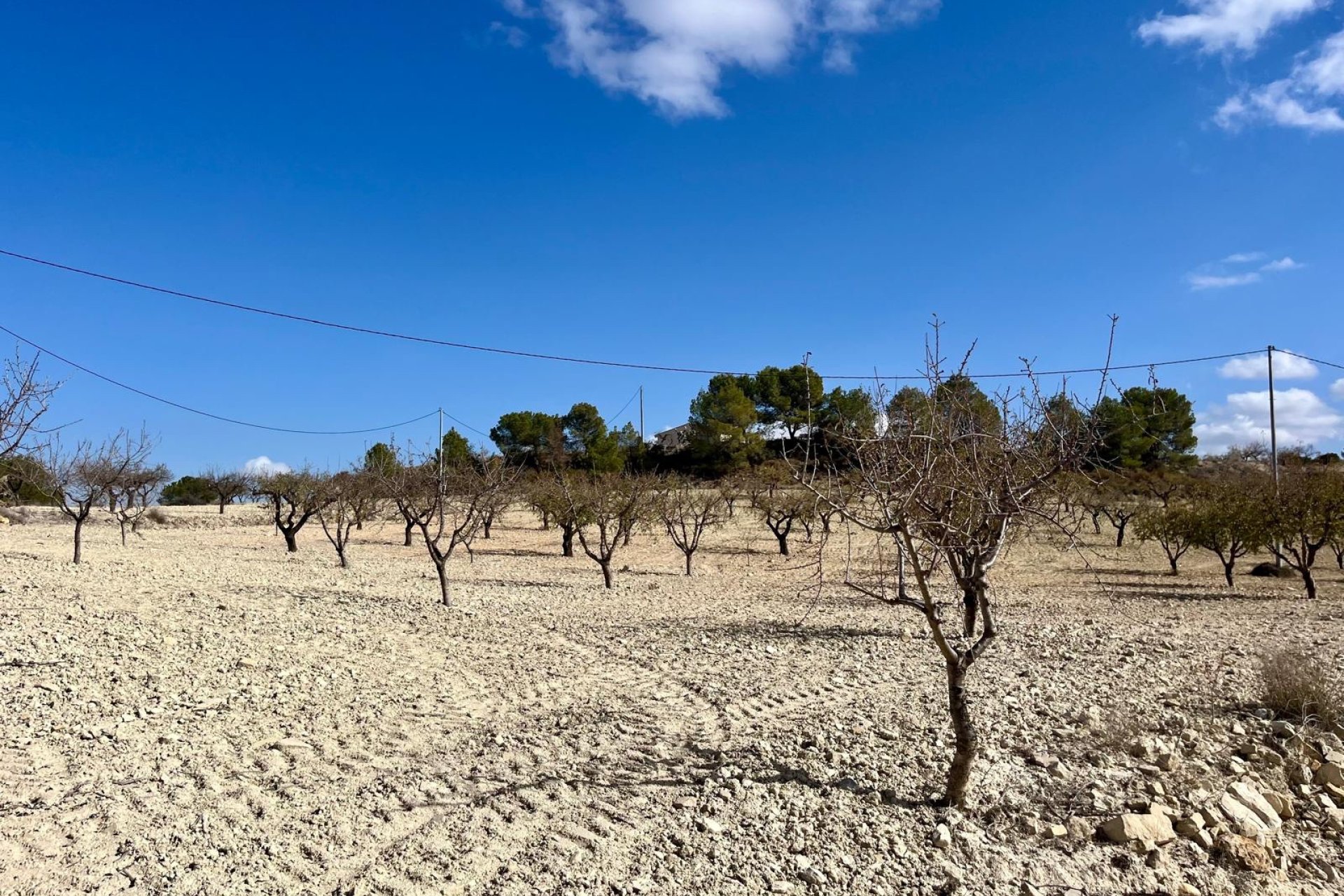 Herverkoop - Plot - Bullas - Costa Calida