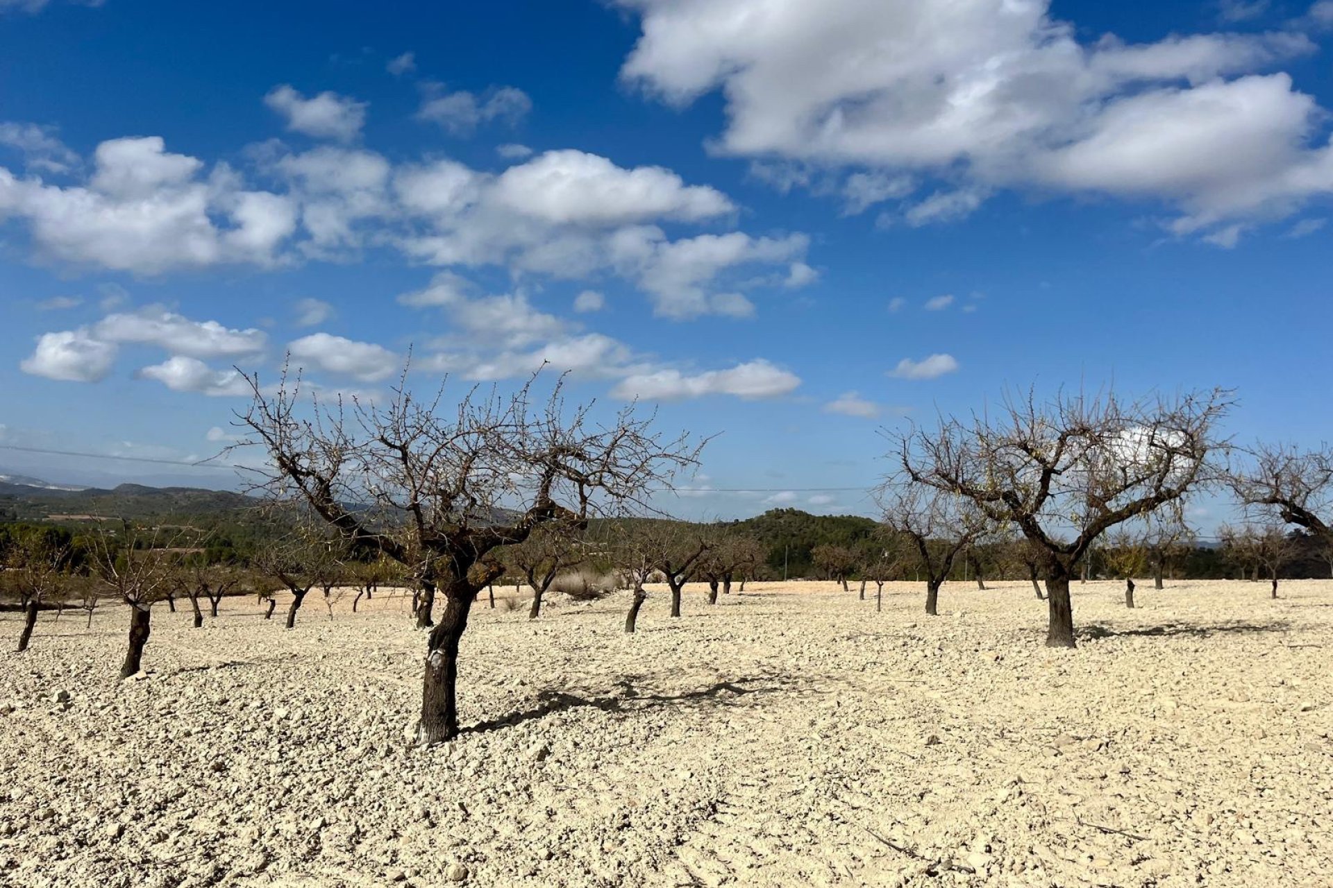 Herverkoop - Plot - Bullas - Costa Calida